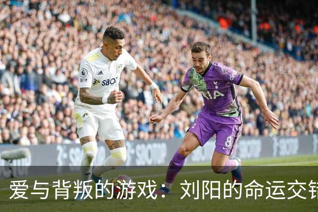 爱与背叛的游戏：刘阳的命运交错